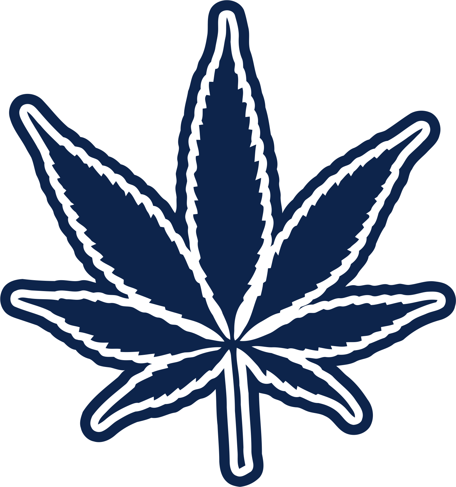 Dallas Cowboys Smoking Weed Logo fabric transfer